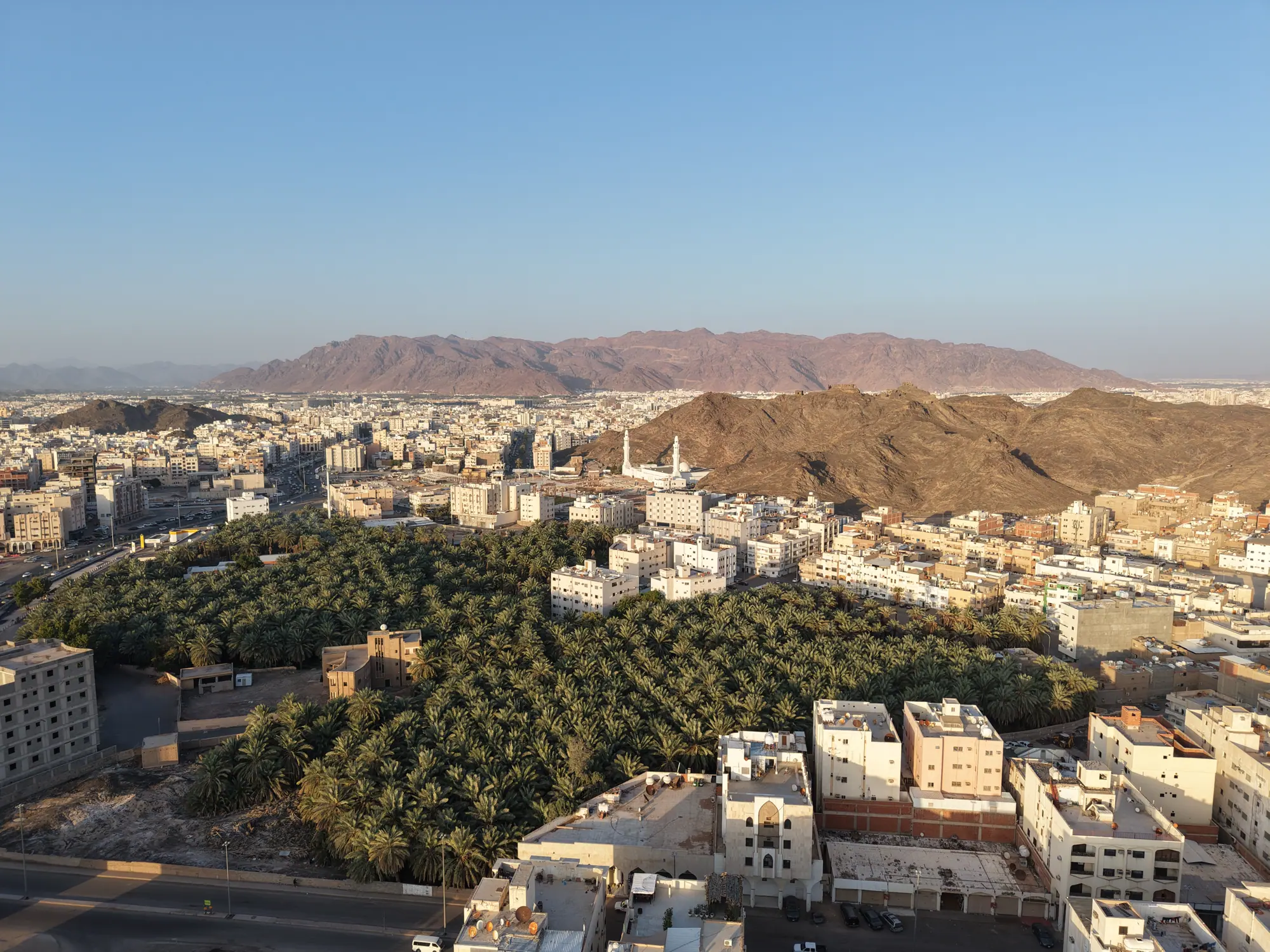 Basateen Al Madinah — campaign photo 3