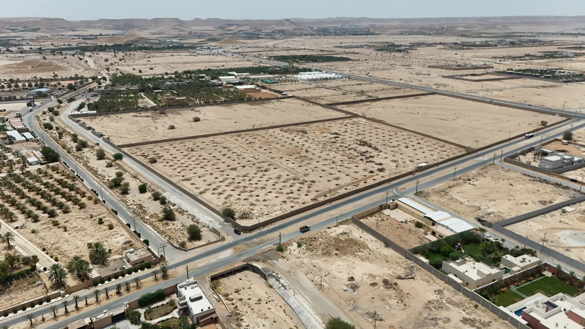 Basateen Najd auction — campaign photography
