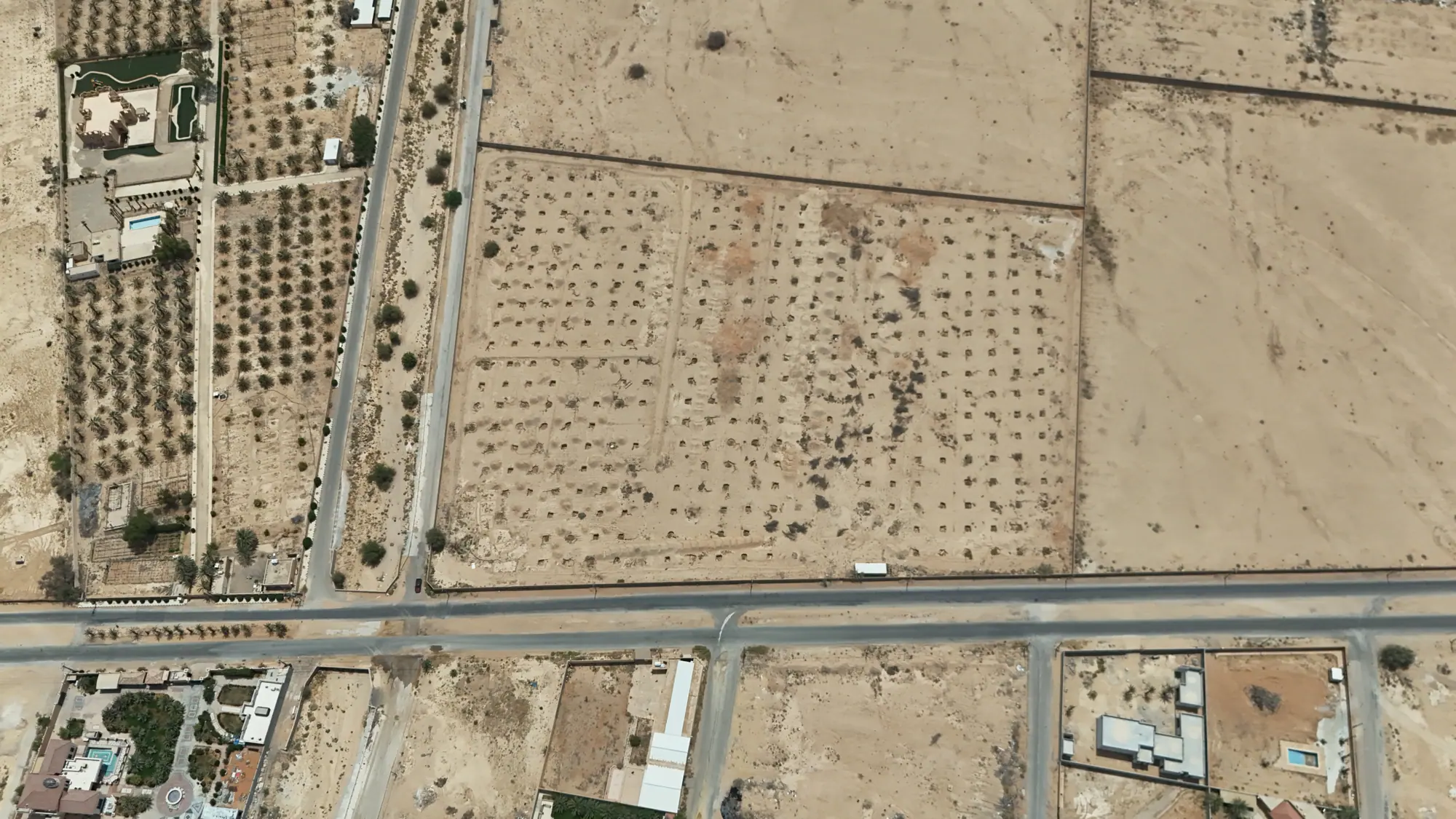 Basateen Najd — campaign photo 3