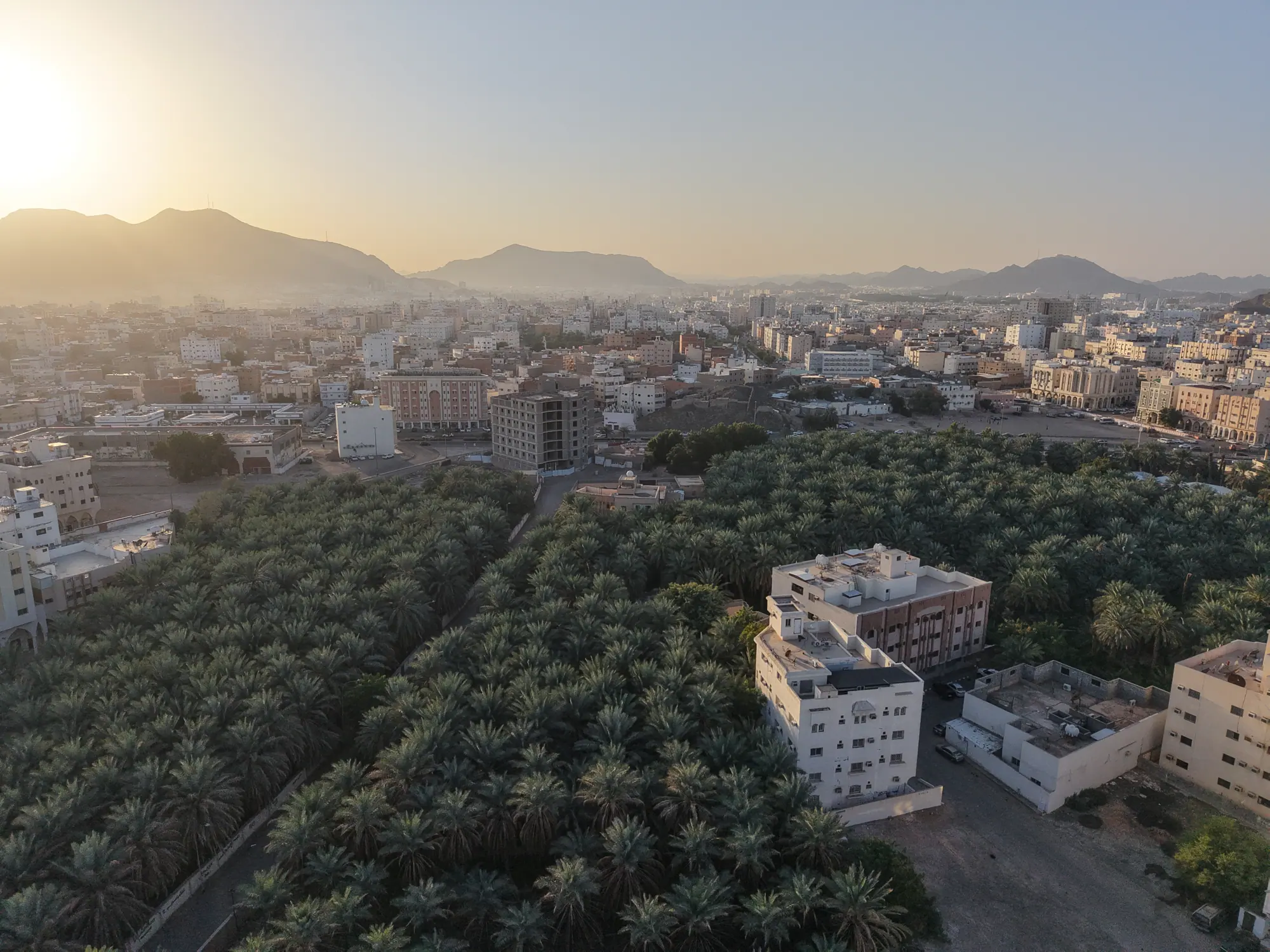 Furas Al Gharbiya — campaign photo 2