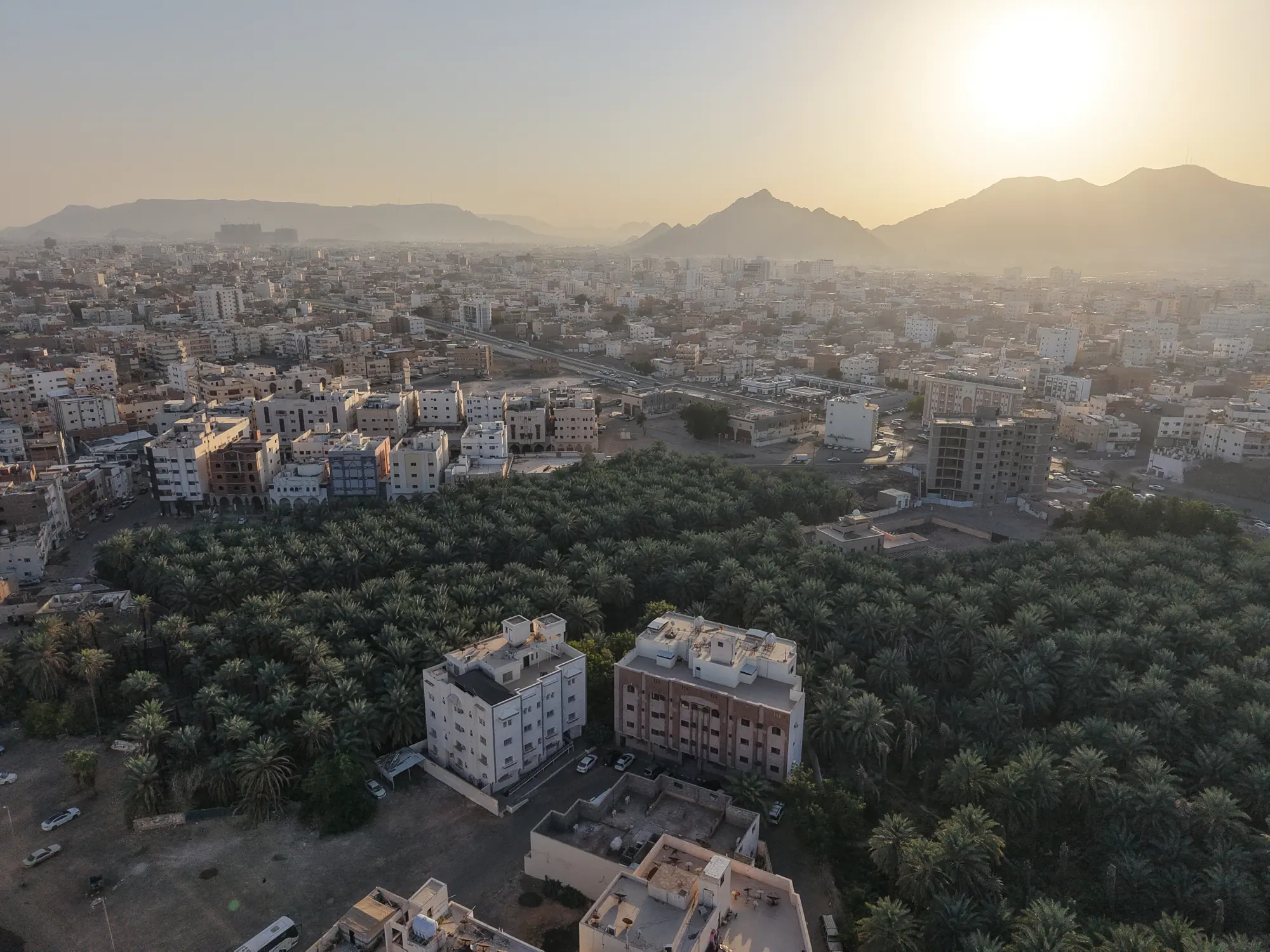 Furas Al Gharbiya — campaign photo 3