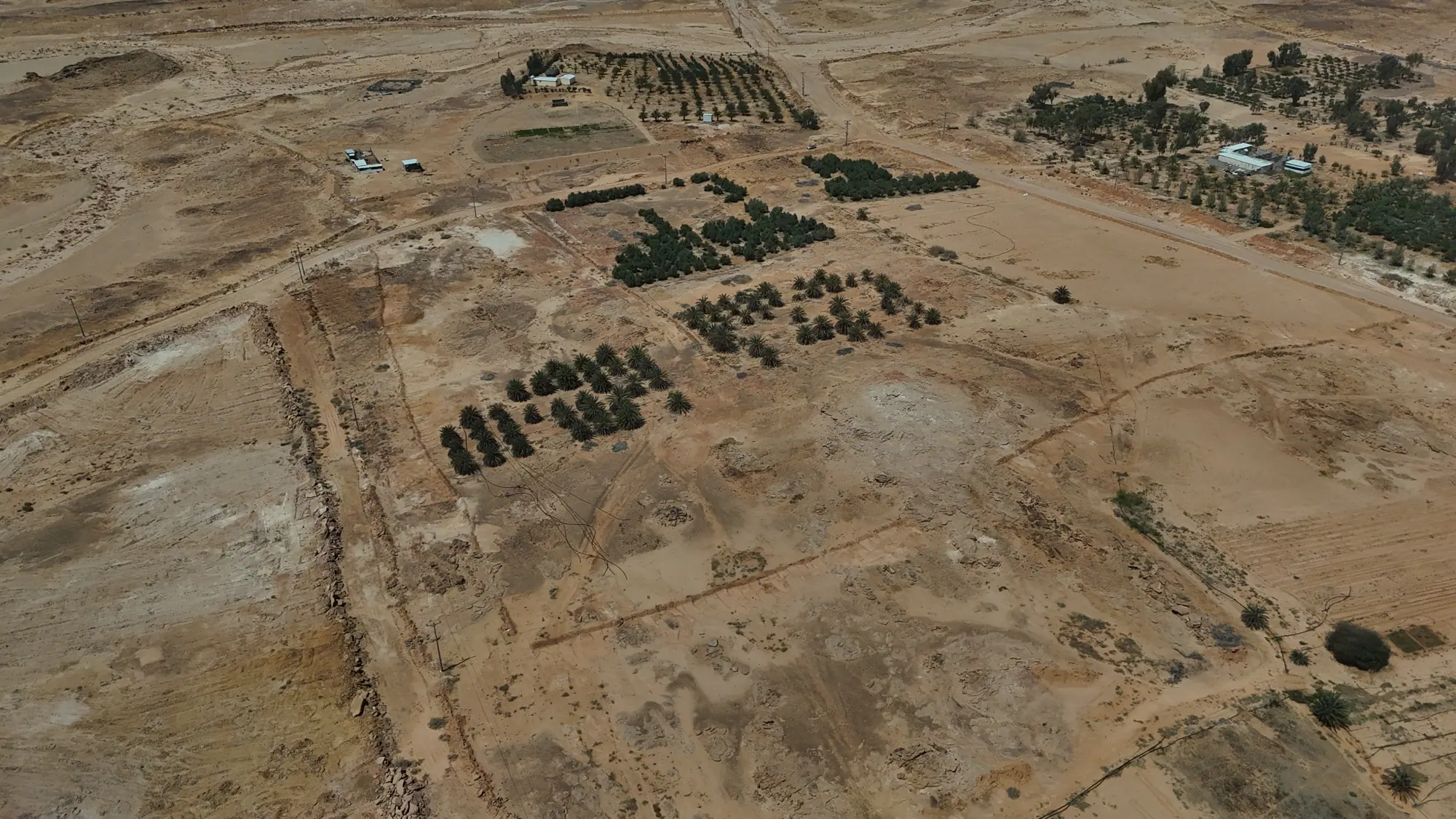 Thimar Al Jouf — campaign photo 2